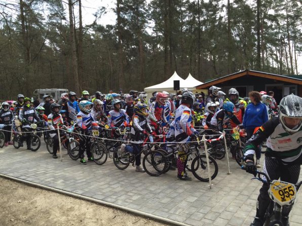 12993504_1120323941323903_8491302447528763962_n